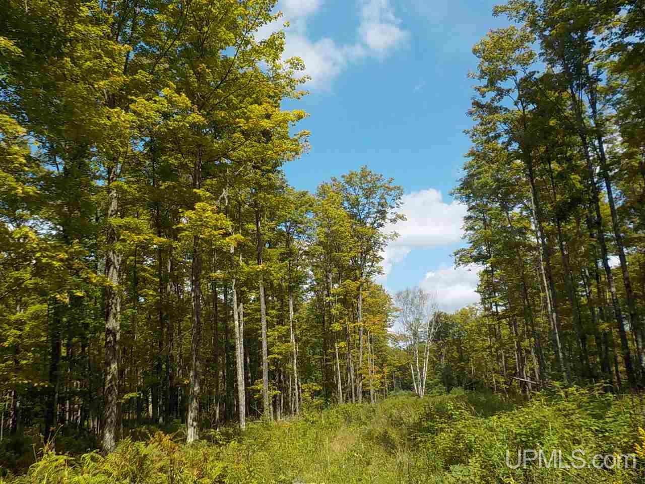 80-ac Mcclaren Road Crystal Falls, MI 49920 - Photo 25 of 27