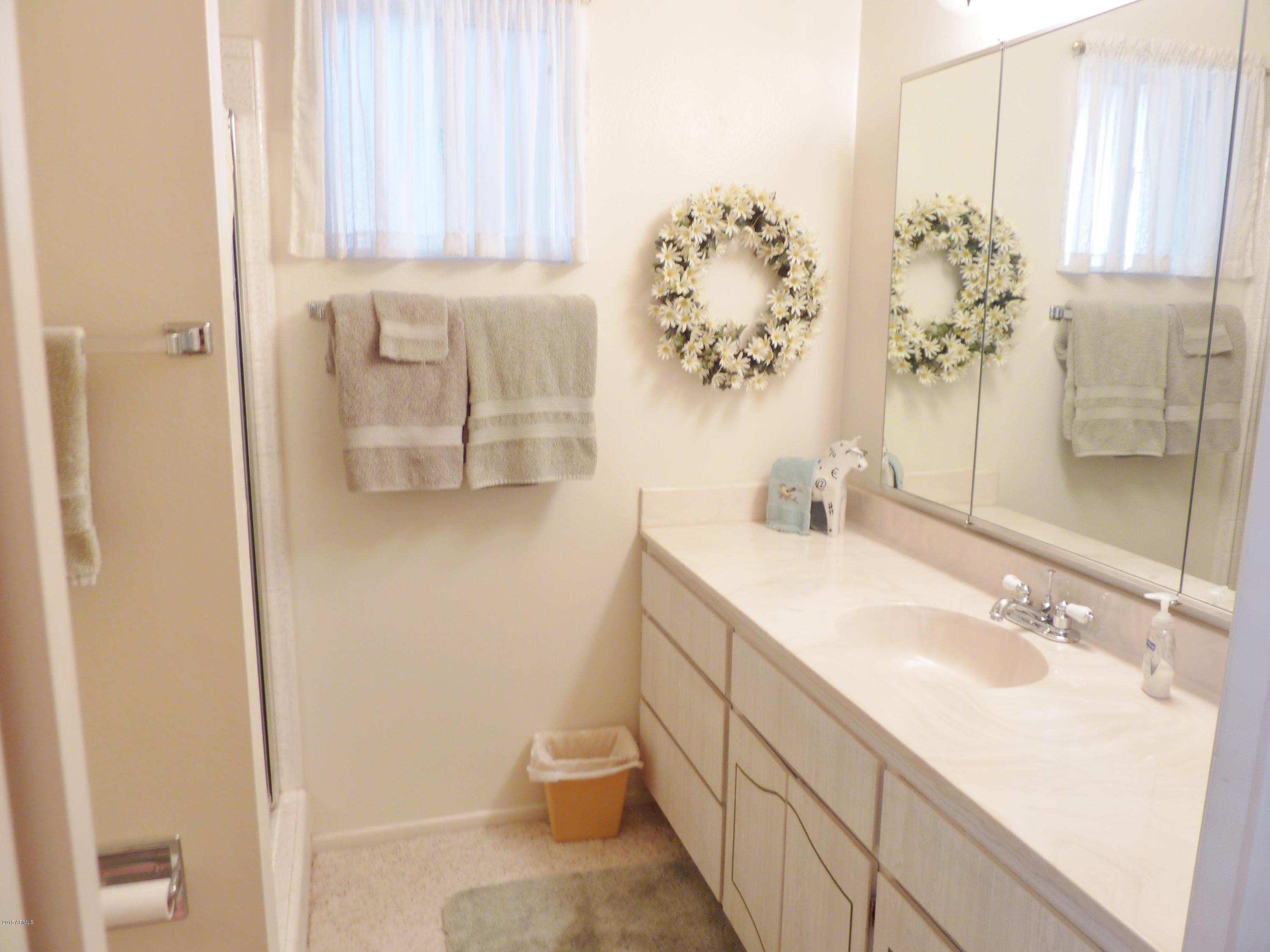 506 South Rochester Mesa, AZ 85206 - Photo 20 of 27 P1040971