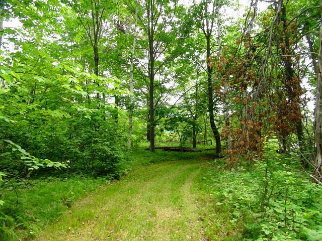 Xxx Airport Road Breezy Point, MN 56472 - Photo 1 of 1 Gallery Image 1