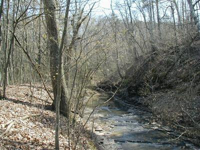0 Millstone Road Clay City, KY 40312 - Photo 8 of 14 Photo 8