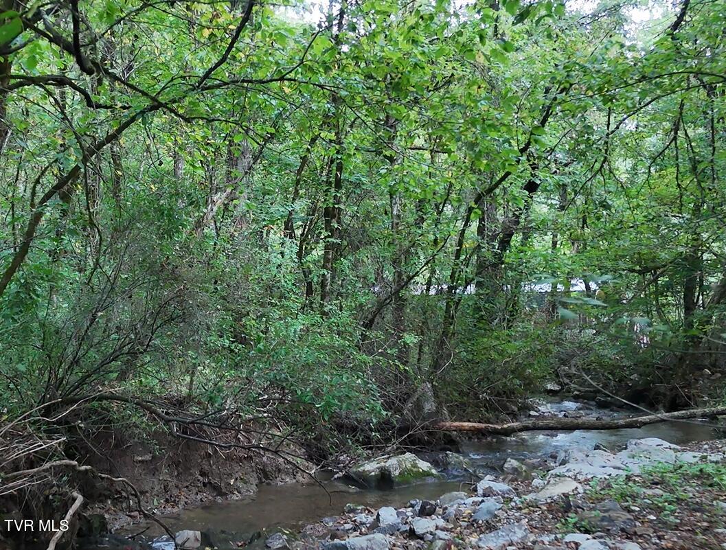 0 Ford Branch Road Duffield, VA 24244 - Photo 13 of 15 Ford Branch Creek 3