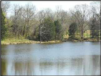 0 Debowen Wilson Road Batesville, MS 38606 - Photo 2 of 8 Photo 2