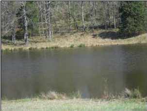 0 Debowen Wilson Road Batesville, MS 38606 - Photo 3 of 8 Photo 3