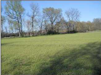 0 Debowen Wilson Road Batesville, MS 38606 - Photo 4 of 8 Photo 4