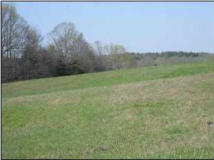 0 Debowen Wilson Road Batesville, MS 38606 - Photo 5 of 8 Photo 5