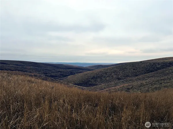 $1,125,000 | 4200 Wadsworth Road, Washtucna, WA 99371