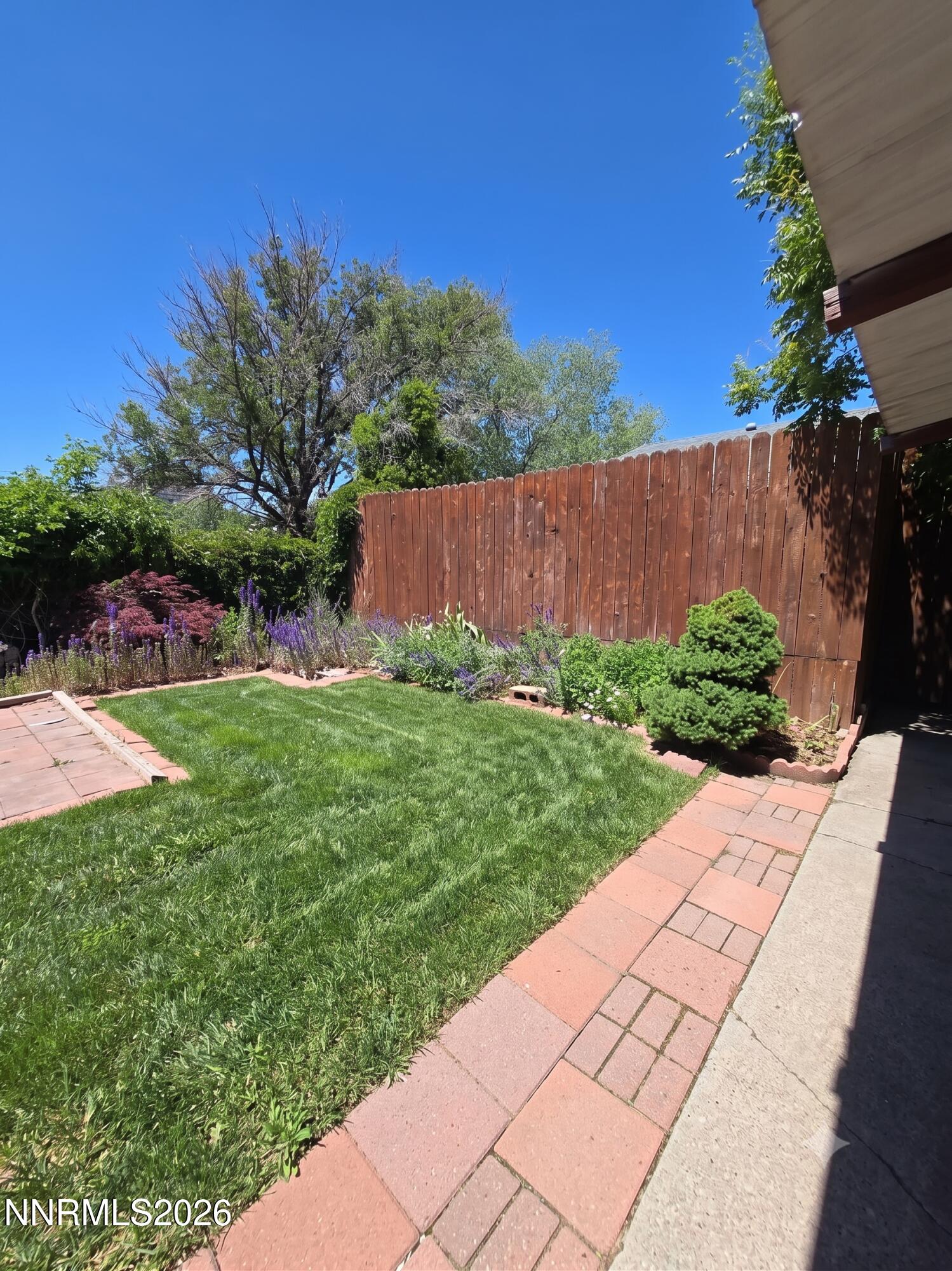 549 Wonder Street Reno, NV 89502 - Photo 3 of 22 Backyard