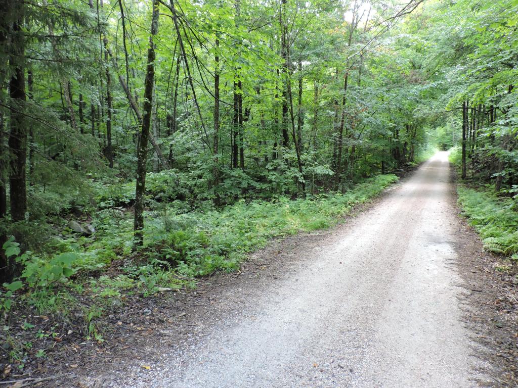0 Little Sherburne Road Bridgewater Corners, VT 05035 - Photo 2 of 13