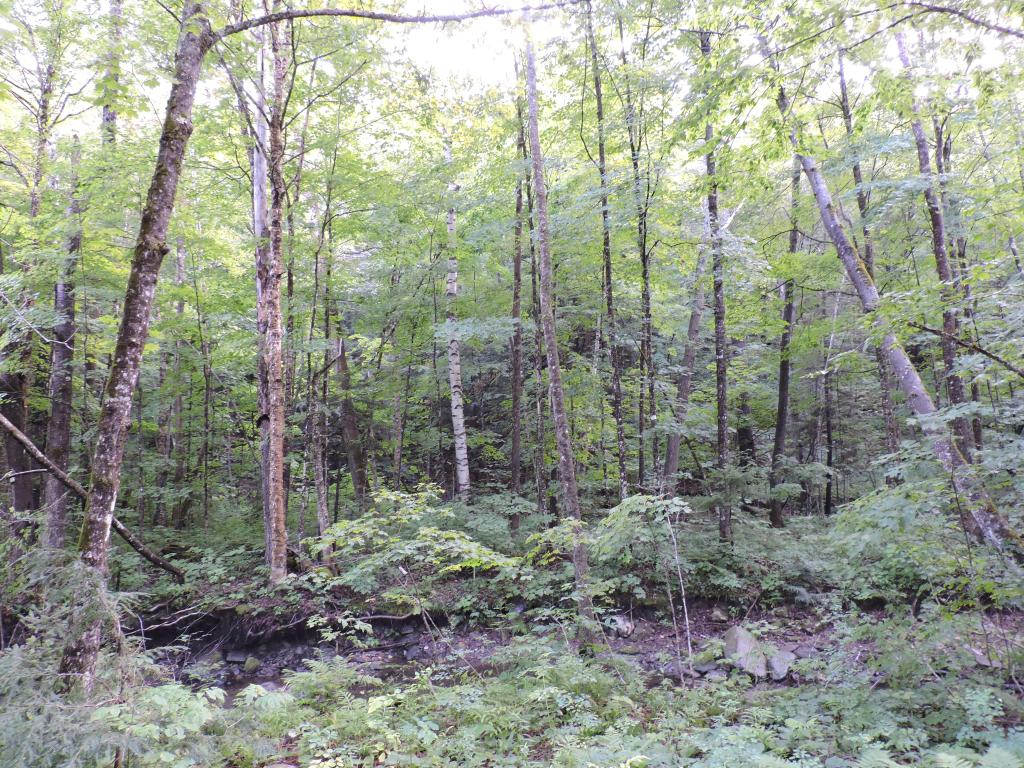 0 Little Sherburne Road Bridgewater Corners, VT 05035 - Photo 12 of 13