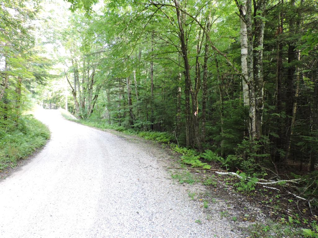 0 Little Sherburne Road Bridgewater Corners, VT 05035 - Photo 13 of 13