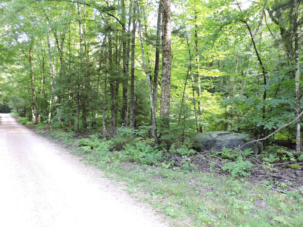 0 Little Sherburne Road Bridgewater Corners, VT 05035 - Photo 4 of 13