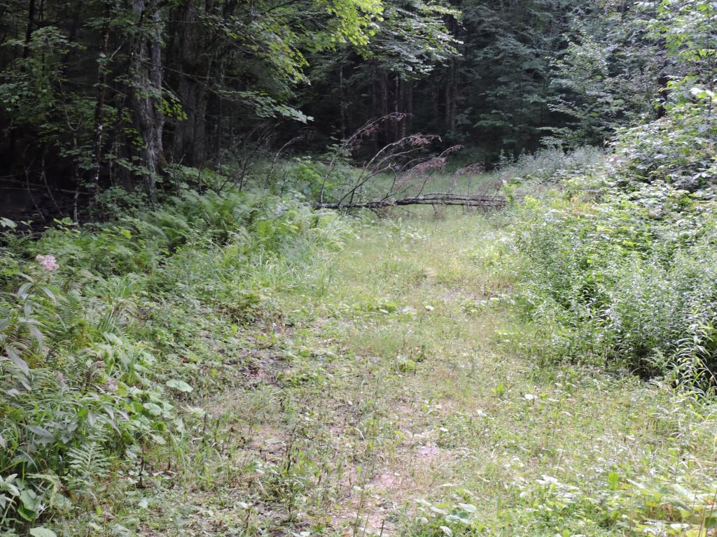 0 Little Sherburne Road Bridgewater Corners, VT 05035 - Photo 5 of 13