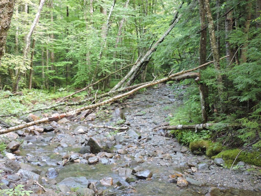 0 Little Sherburne Road Bridgewater Corners, VT 05035 - Photo 6 of 13