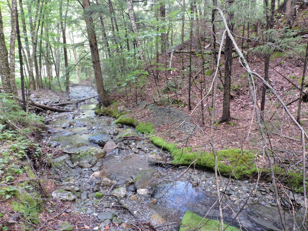 0 Little Sherburne Road Bridgewater Corners, VT 05035 - Photo 9 of 13