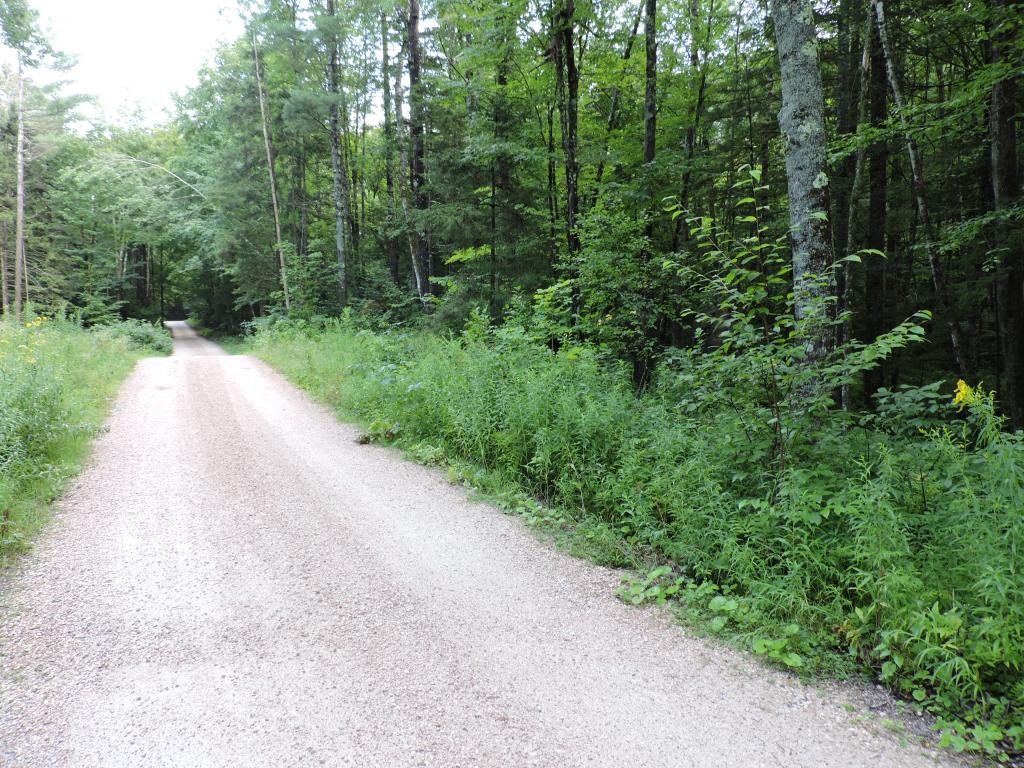 0 Little Sherburne Road Bridgewater Corners, VT 05035 - Photo 10 of 13