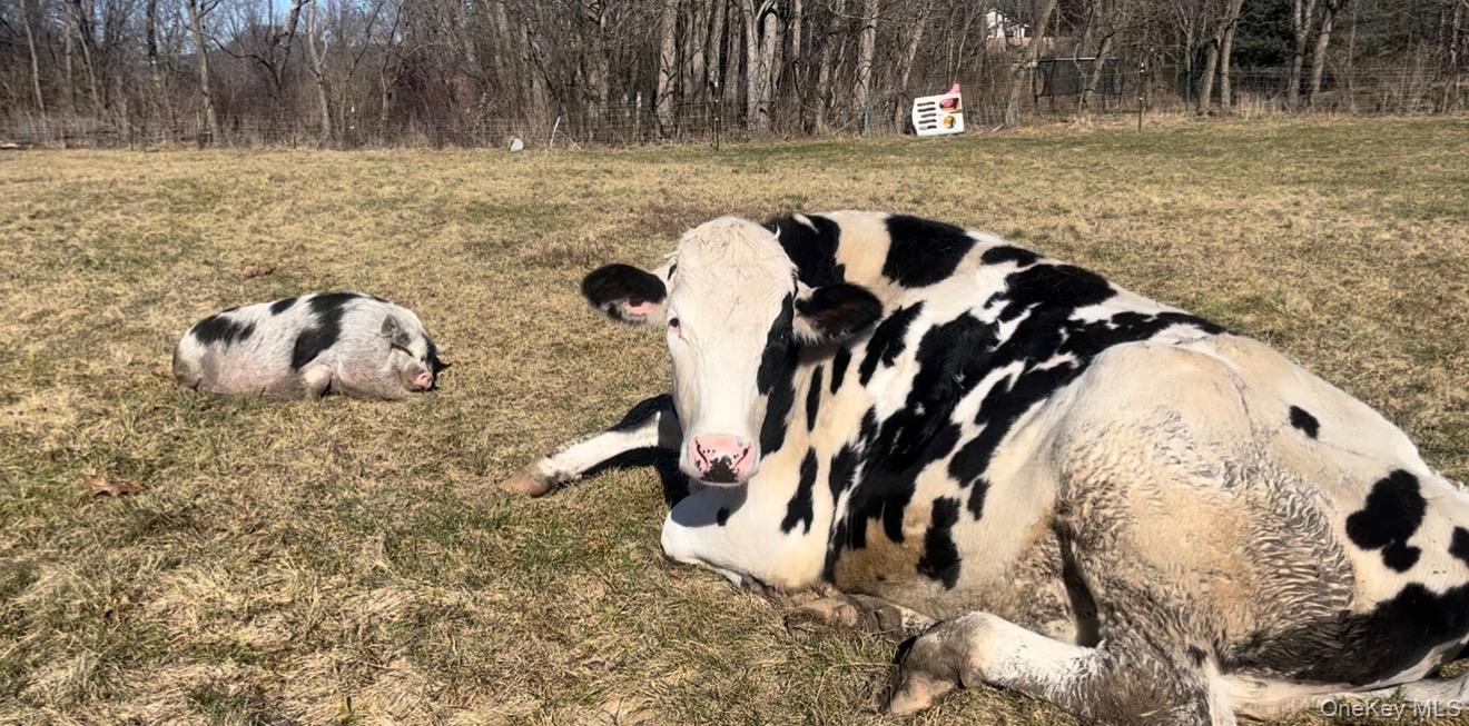 315 Bellvale Lakes Road Warwick, NY 10990 - Photo 45 of 50