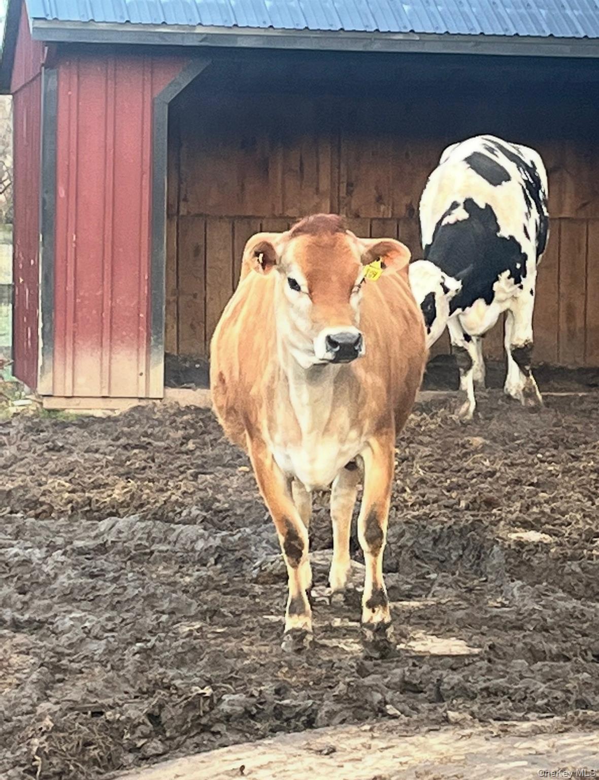 315 Bellvale Lakes Road Warwick, NY 10990 - Photo 46 of 50