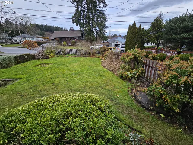 a view of a yard with plants