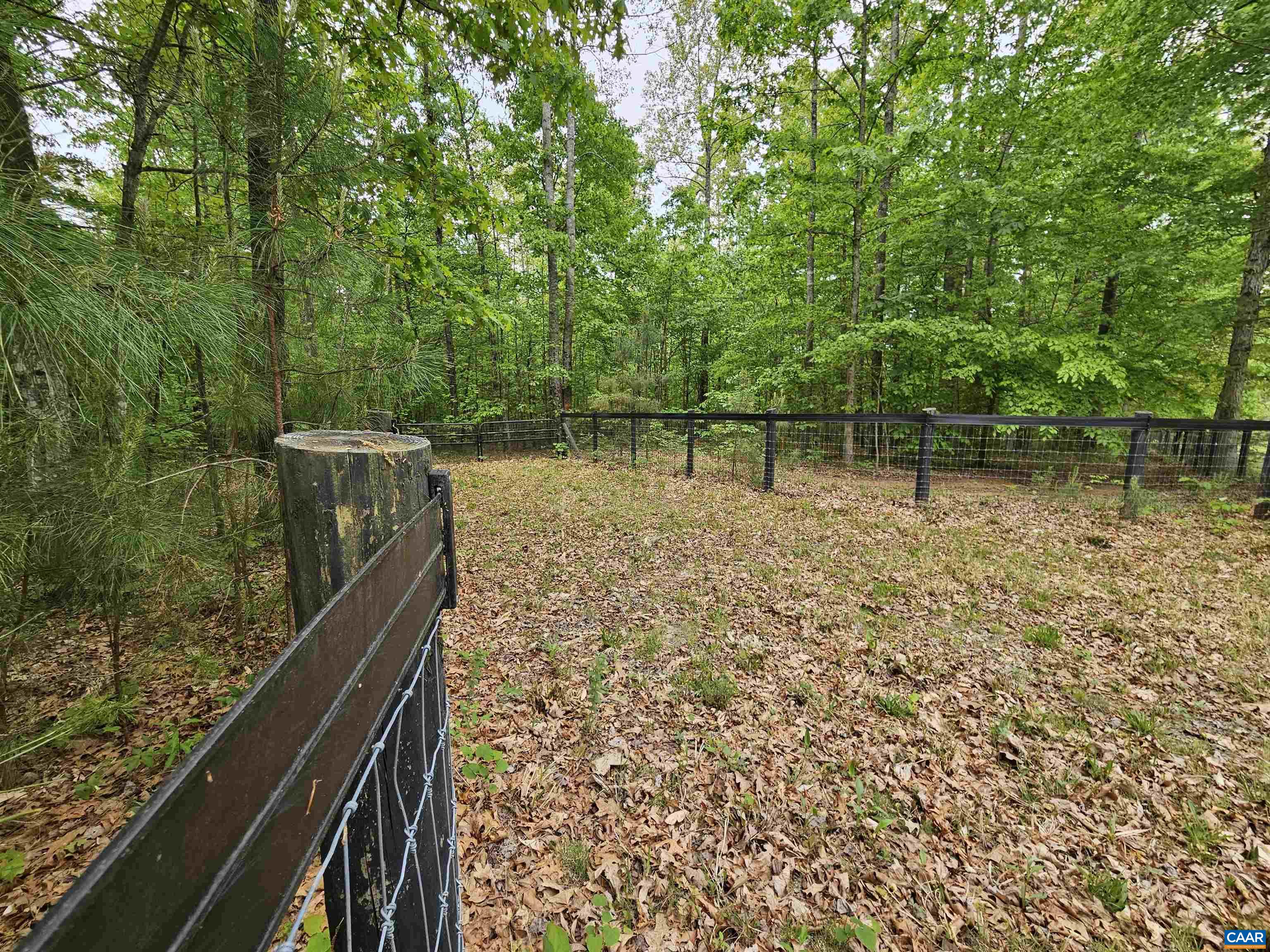981 Scotts Bottom Road Dillwyn, VA 23936 - Photo 54 of 62 a backyard of a house with lots of green space and lake view