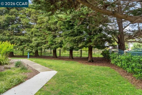 a view of a backyard with tree s