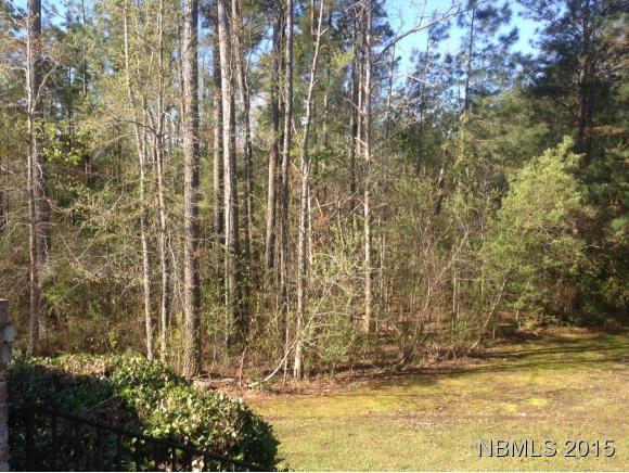 128 Teufen Road New Bern, NC 28562 - Photo 41 of 42 Backyard