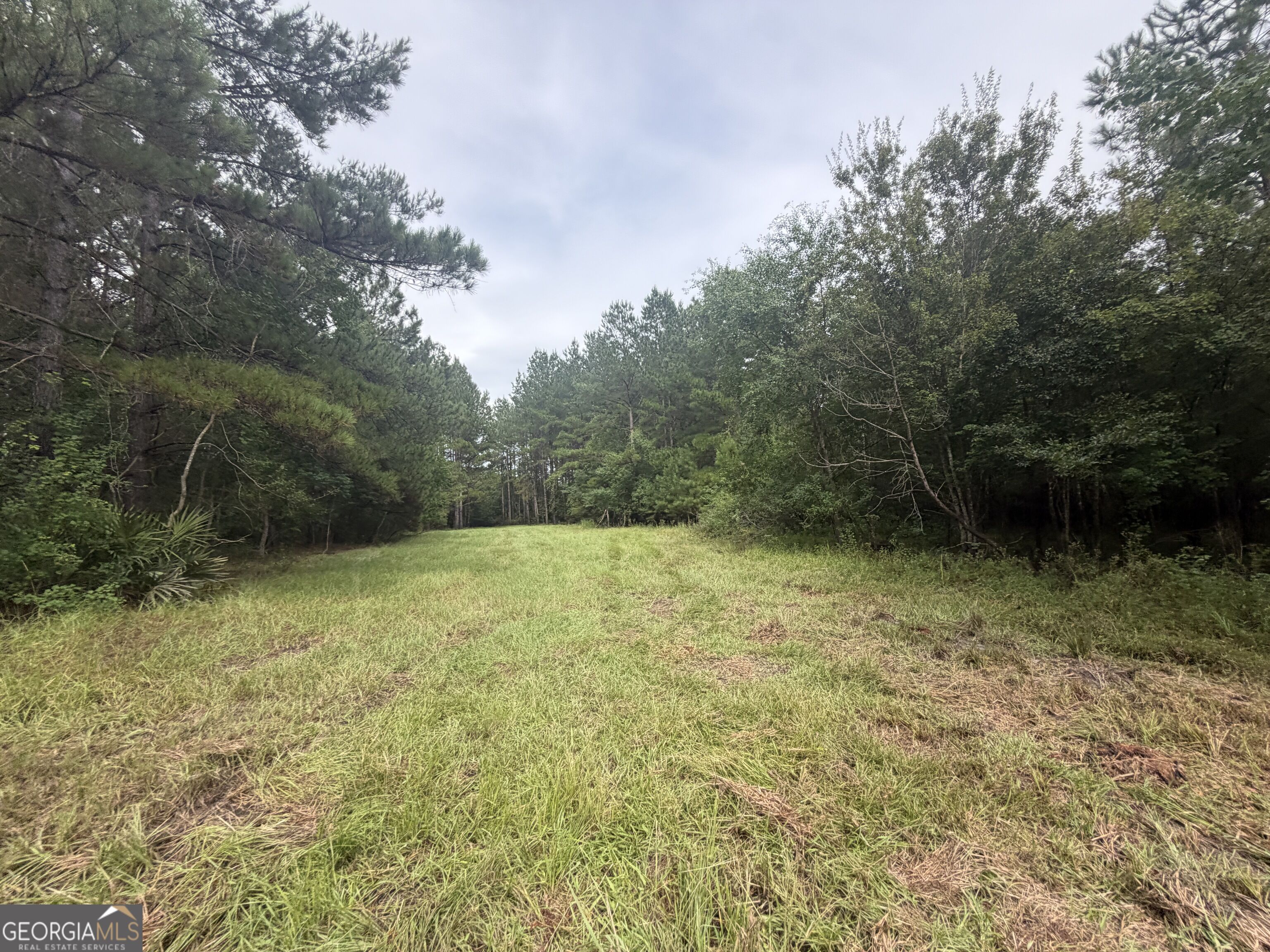 0 Jamestown Road Waycross, GA 31503 - Photo 53 of 92 Gallery Image 53