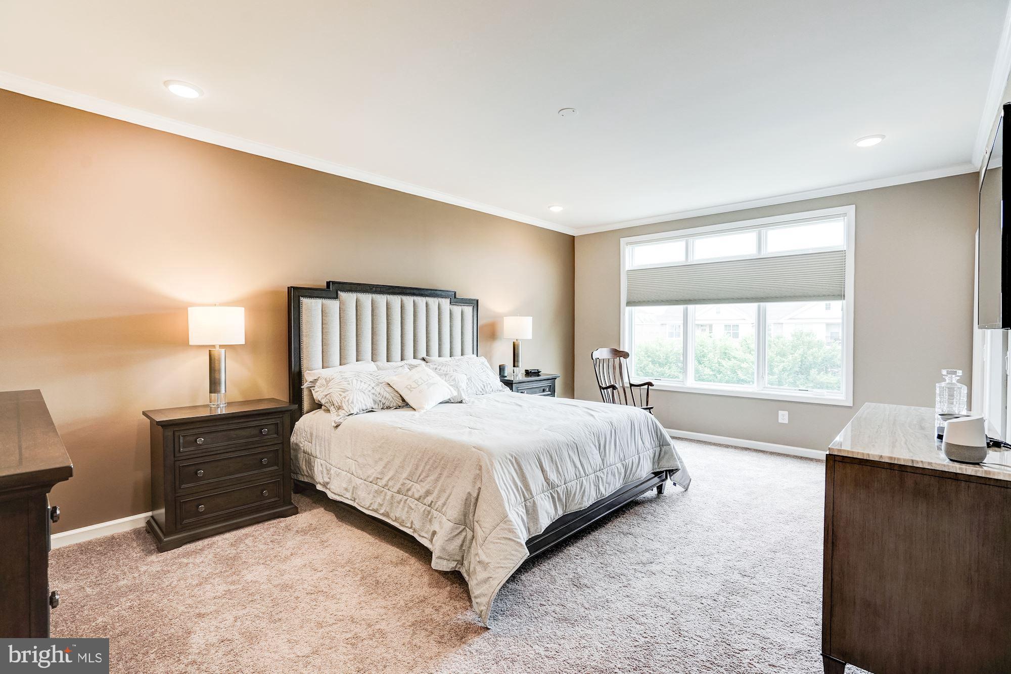 1114 Ribbon Limestone Terrace Southeast Leesburg, VA 20175 - Photo 15 of 24 Master suite (high celings and walk in closet)
