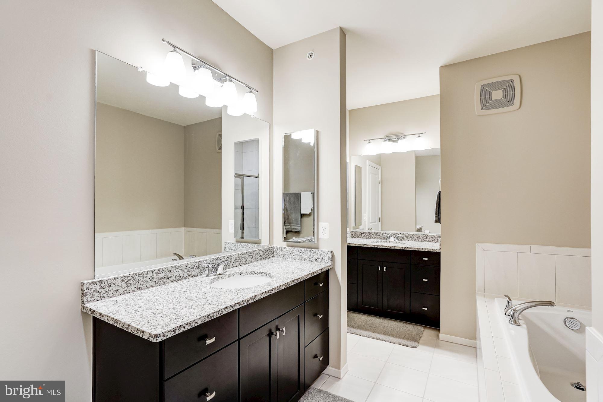 1114 Ribbon Limestone Terrace Southeast Leesburg, VA 20175 - Photo 16 of 24 Separate vanities, soaking tub in the master bath