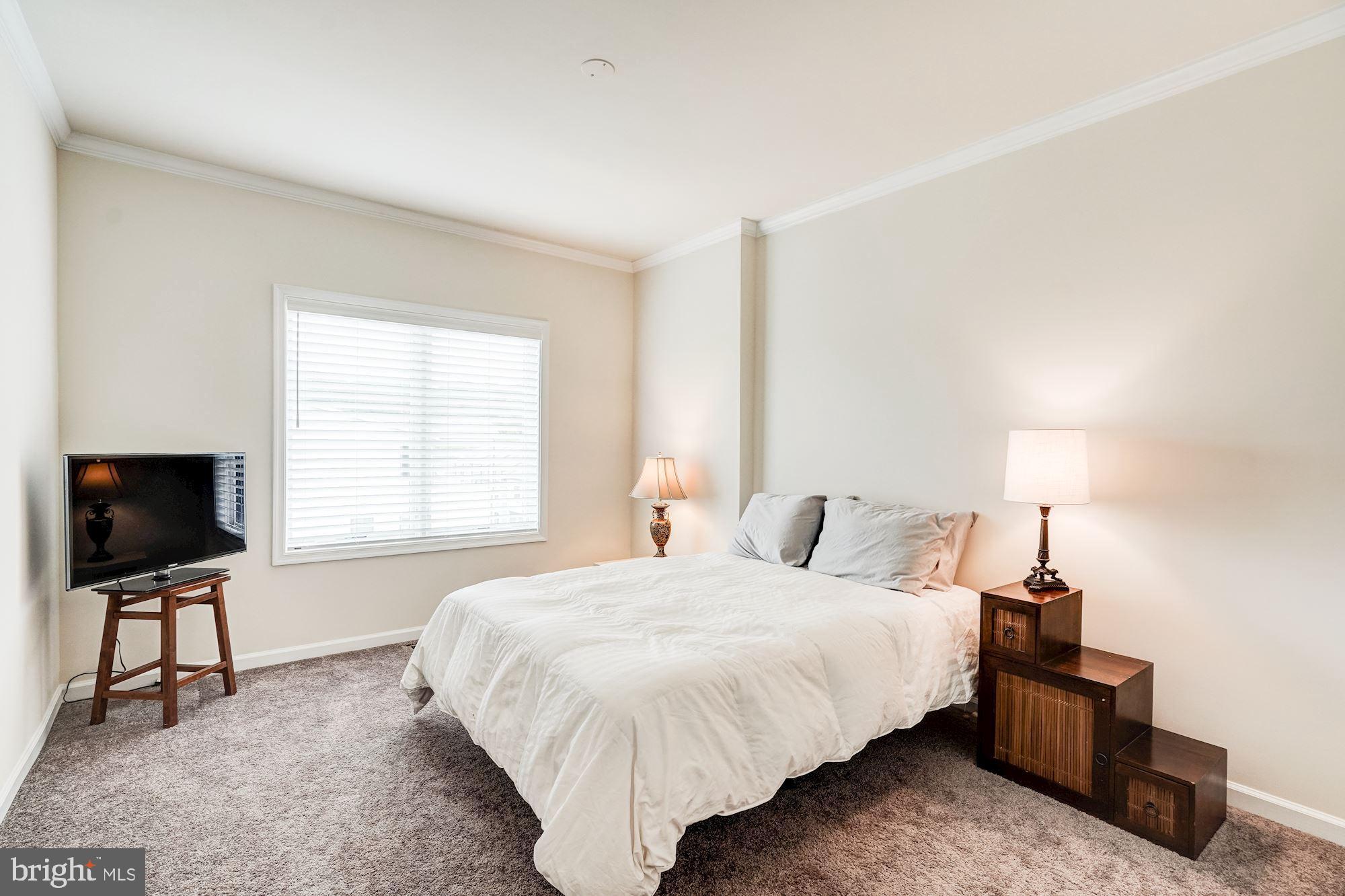 1114 Ribbon Limestone Terrace Southeast Leesburg, VA 20175 - Photo 18 of 24 Bedroom #3