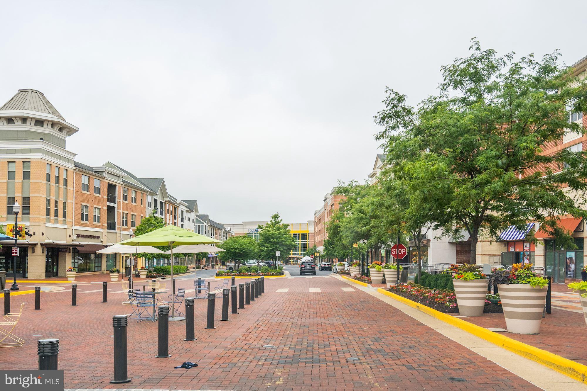 1114 Ribbon Limestone Terrace Southeast Leesburg, VA 20175 - Photo 24 of 24 Village of Leesburg is across the street.