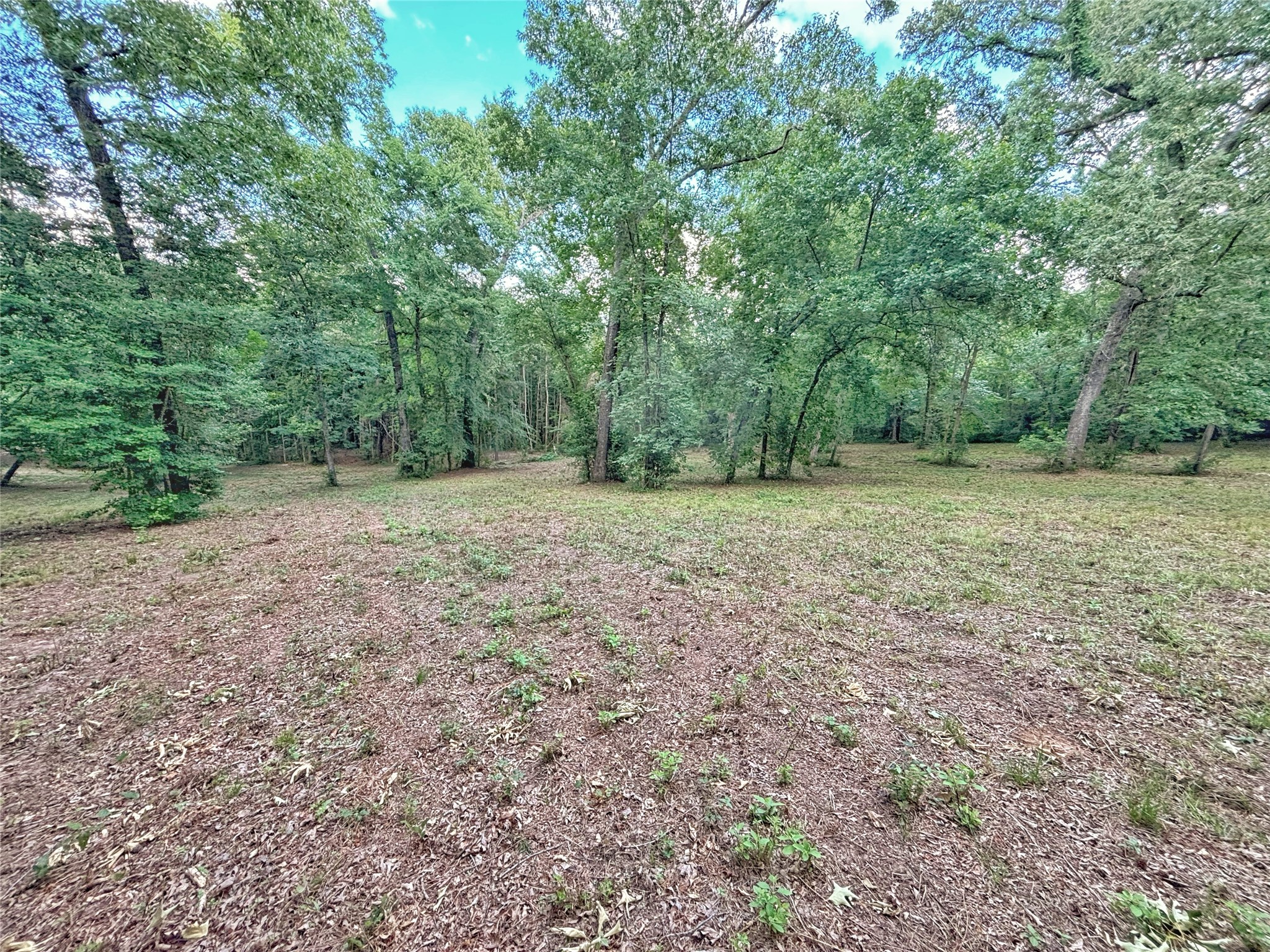 390 County Road 1701 Rusk, TX 75785 - Photo 37 of 43