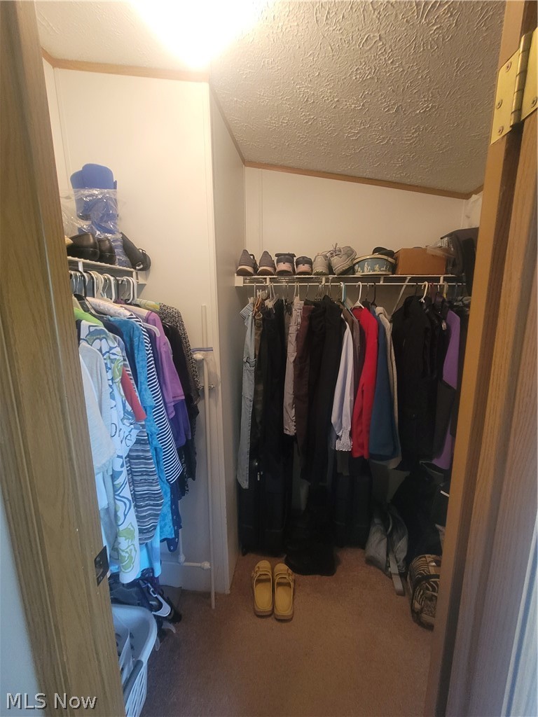 5852 Cleveland Road, Unit 17 Wooster, OH 44691 - Photo 12 of 25 walk-in closet in primary