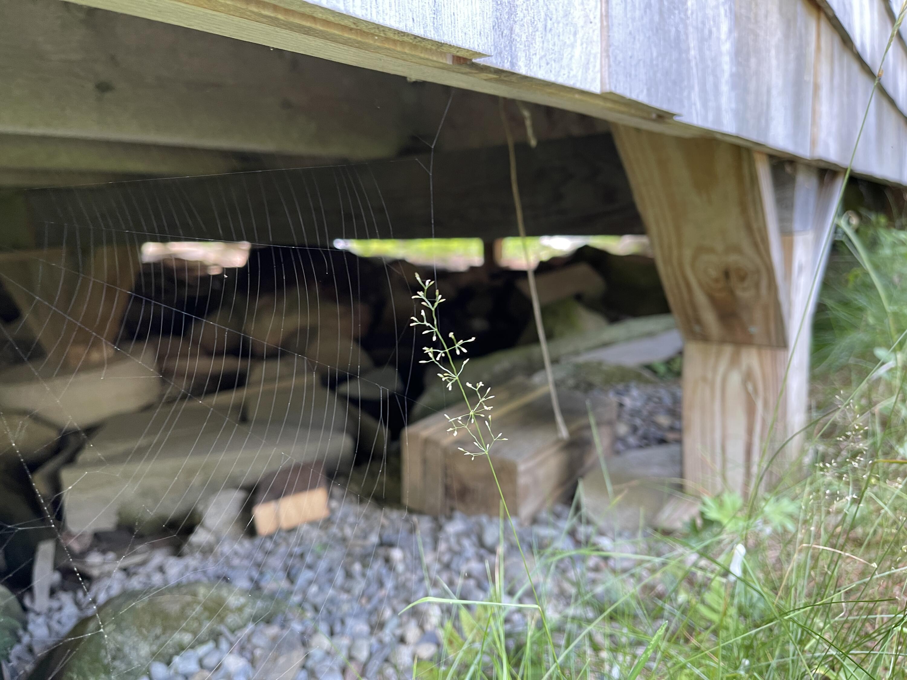 929 Upper Dam Road Oquossoc, ME 04964 - Photo 25 of 33 IMG_4660