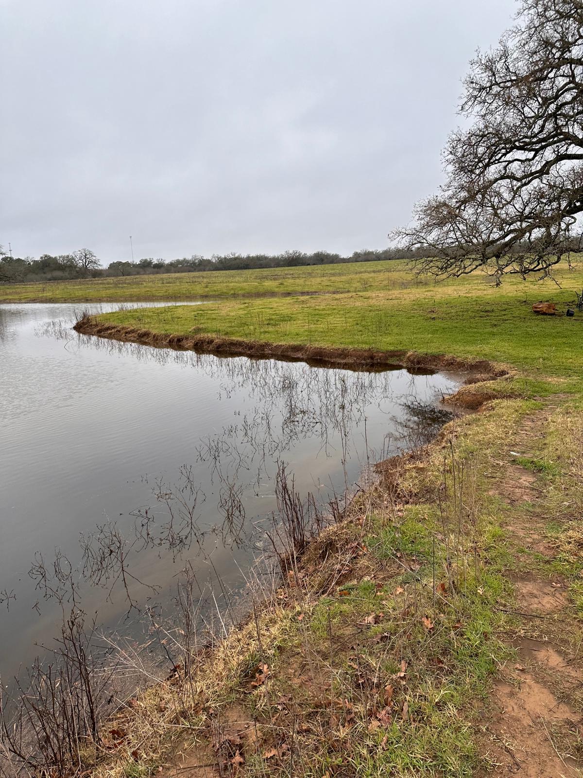 957 Johnson Farms Road Harwood, TX 78632 - Photo 8 of 15 Natural pond featuring a grassy bank, mature trees, and expansive open fields