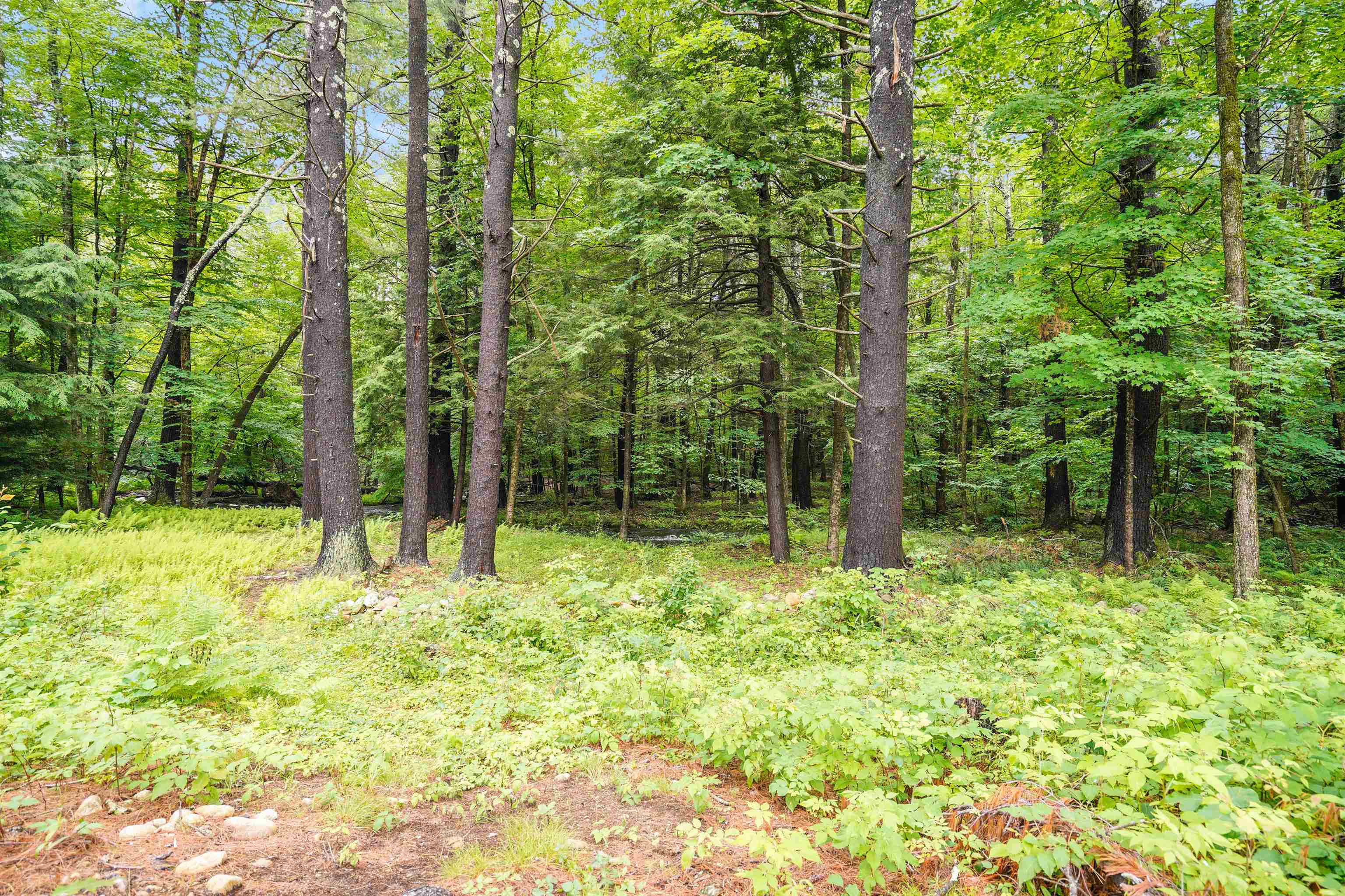 32 New Boston Road Amherst, NH 03031 - Photo 31 of 34