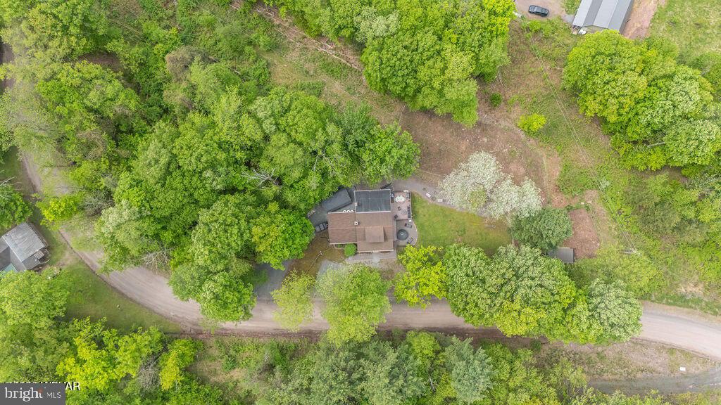 2025 Whiskey Run Road Muncy Valley, PA 17758 - Photo 50 of 54 Serene retreat amidst lush greenery.