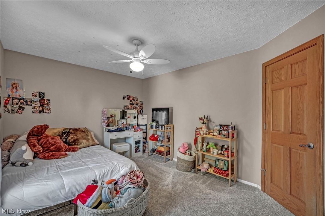 4102 Manchester Road Perry, OH 44081 - Photo 32 of 45