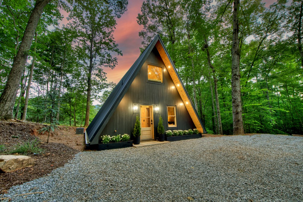 297 Daves Road Morganton, GA 30560 - Photo 4 of 43 Gallery Image 4
