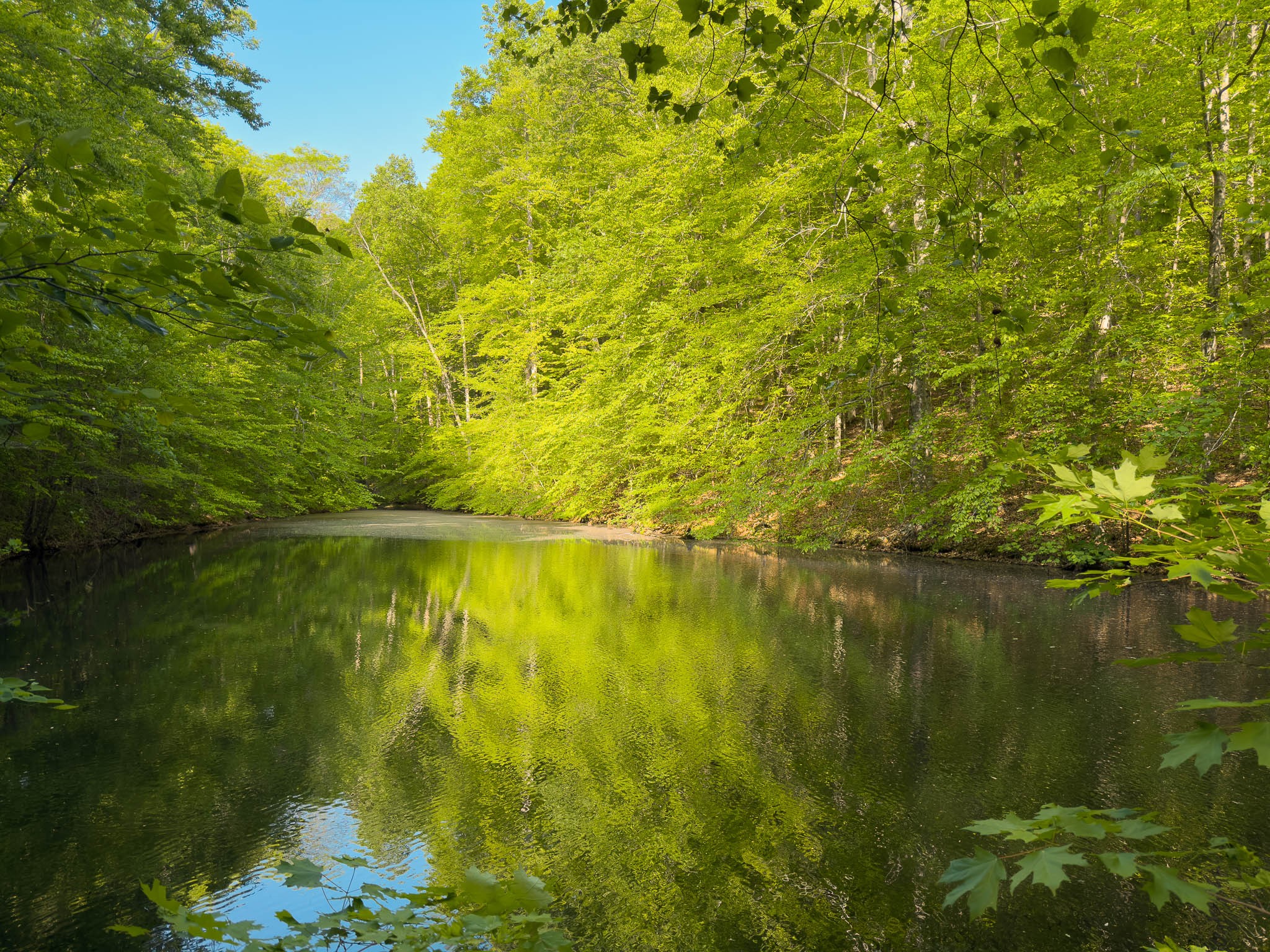 1070 Leatherwood Road White Bluff, TN 37187 - Photo 11 of 22 a view of a lake view