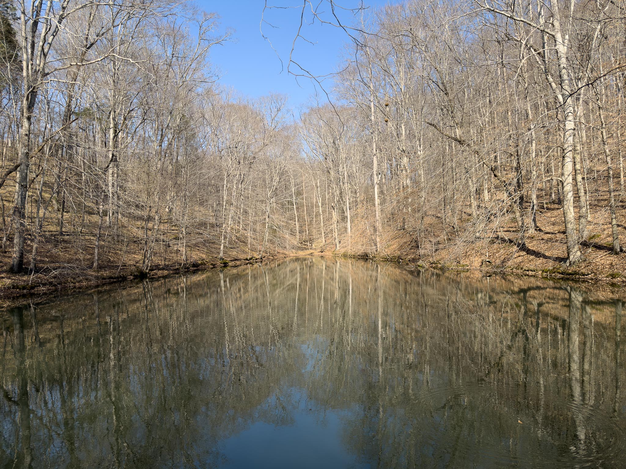 1070 Leatherwood Road White Bluff, TN 37187 - Photo 12 of 22 a view of a lake view