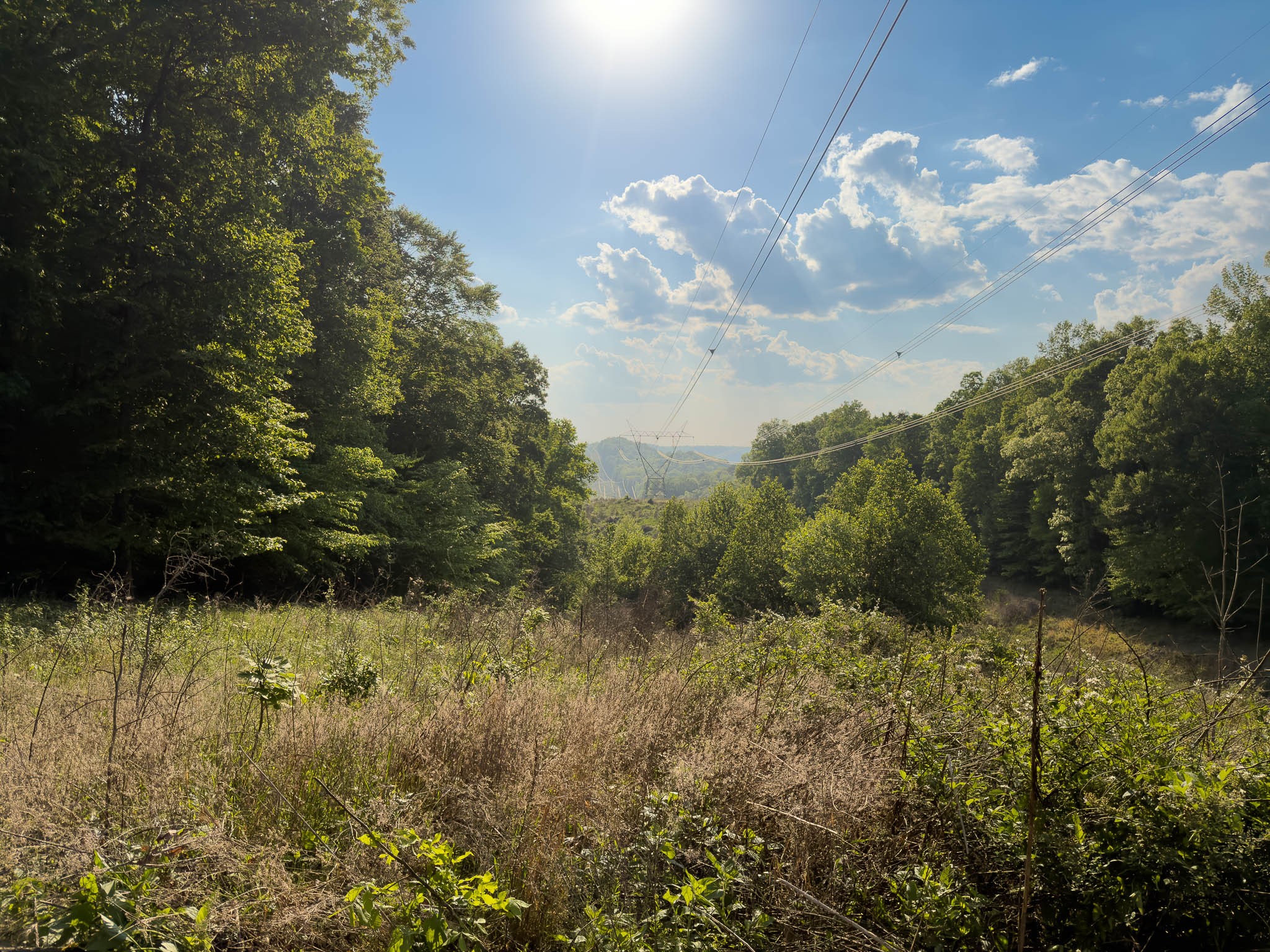 1070 Leatherwood Road White Bluff, TN 37187 - Photo 13 of 22