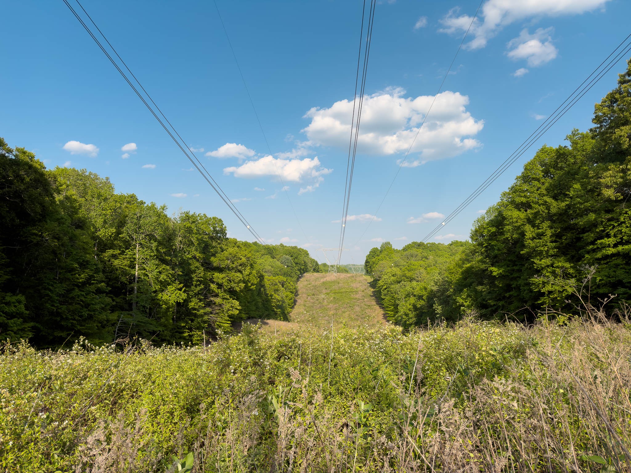 1070 Leatherwood Road White Bluff, TN 37187 - Photo 14 of 22 a view of a garden