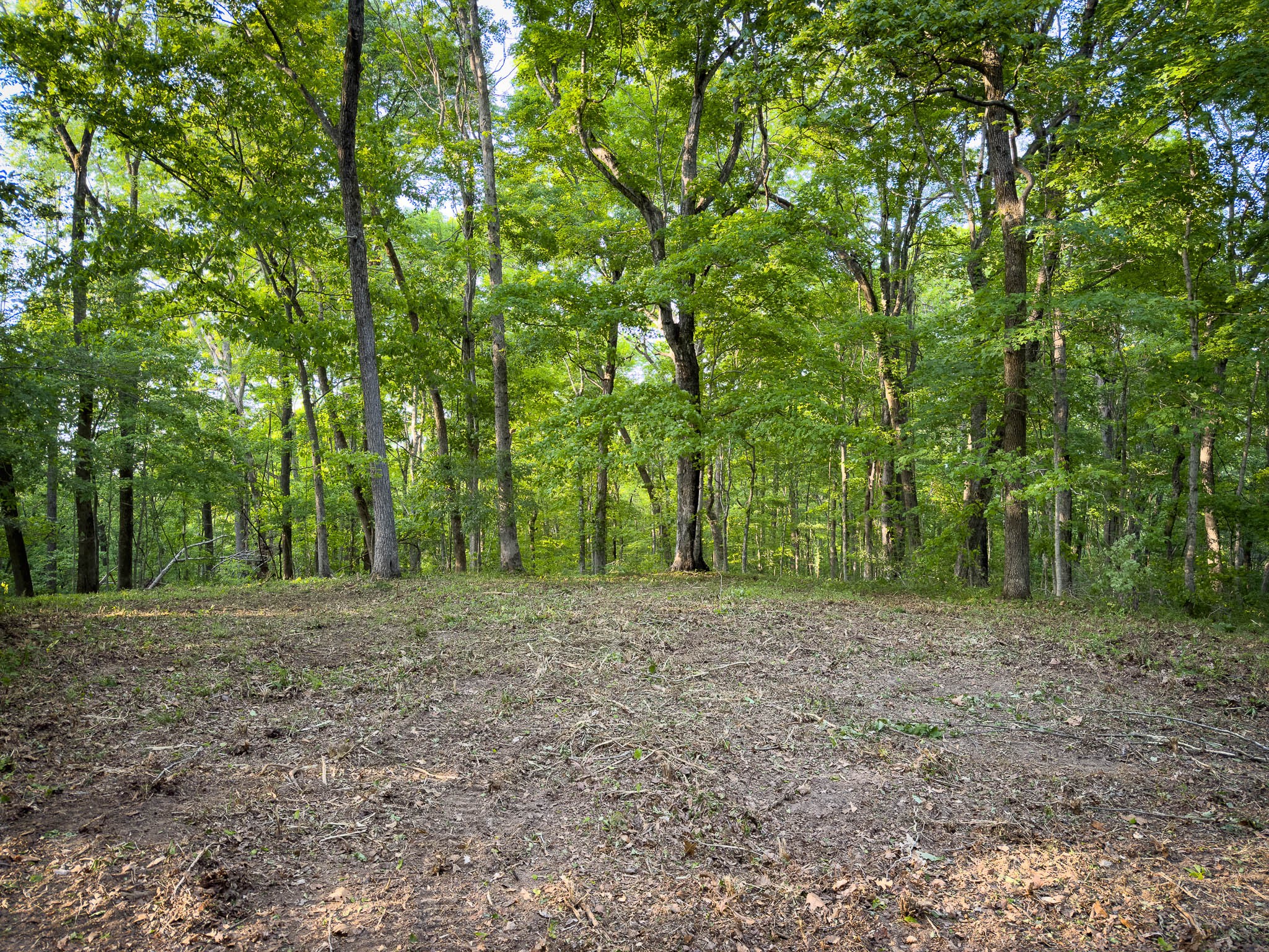 1070 Leatherwood Road White Bluff, TN 37187 - Photo 15 of 22 a view of a field with trees in the background