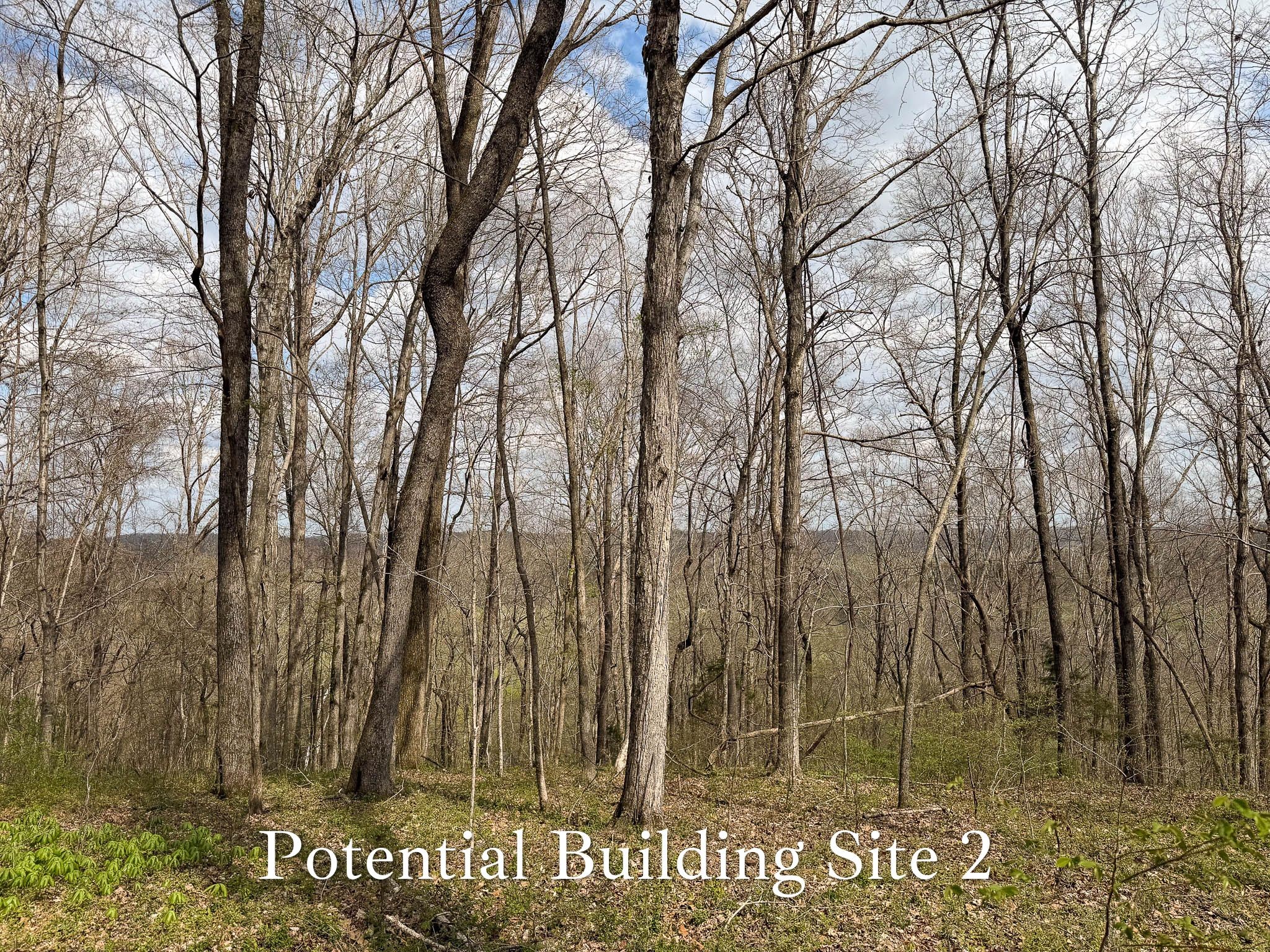 1070 Leatherwood Road White Bluff, TN 37187 - Photo 16 of 22