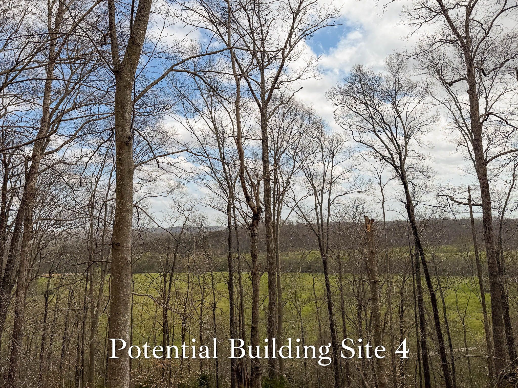 1070 Leatherwood Road White Bluff, TN 37187 - Photo 17 of 22 a view of outdoor space and a yard