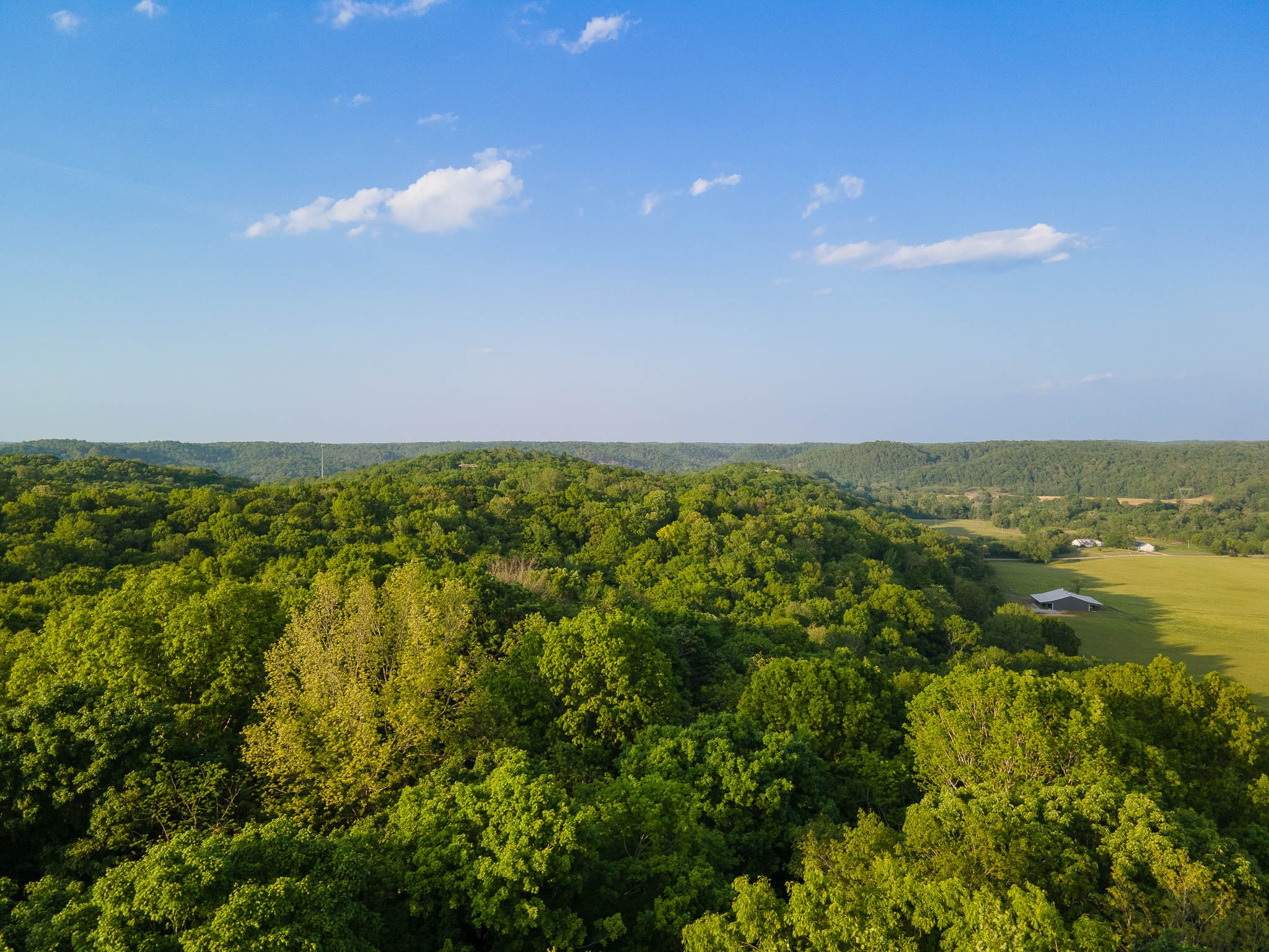 1070 Leatherwood Road White Bluff, TN 37187 - Photo 21 of 22 a view of lake with green space