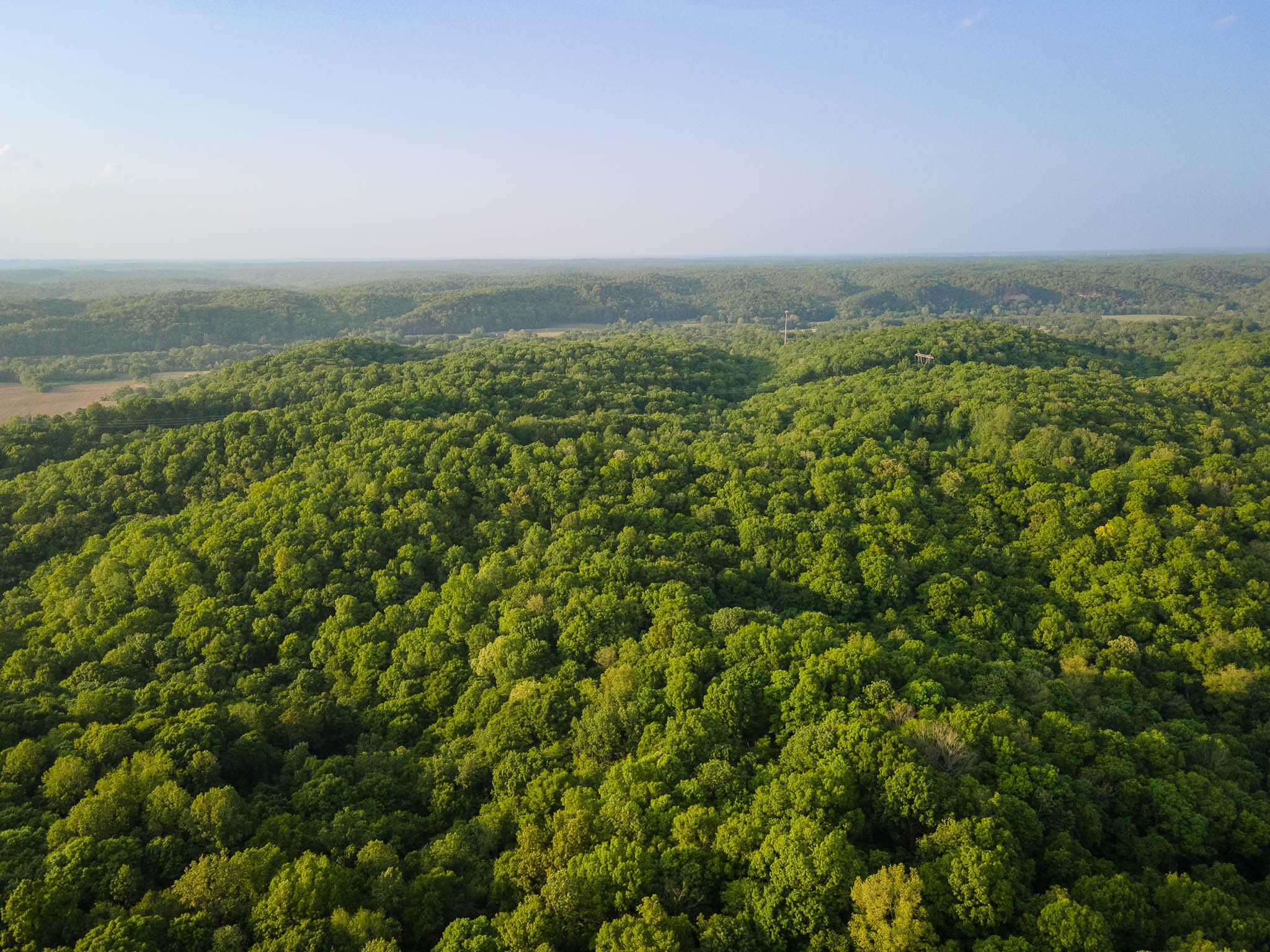 1070 Leatherwood Road White Bluff, TN 37187 - Photo 22 of 22 an aerial view of residential houses with outdoor space and trees