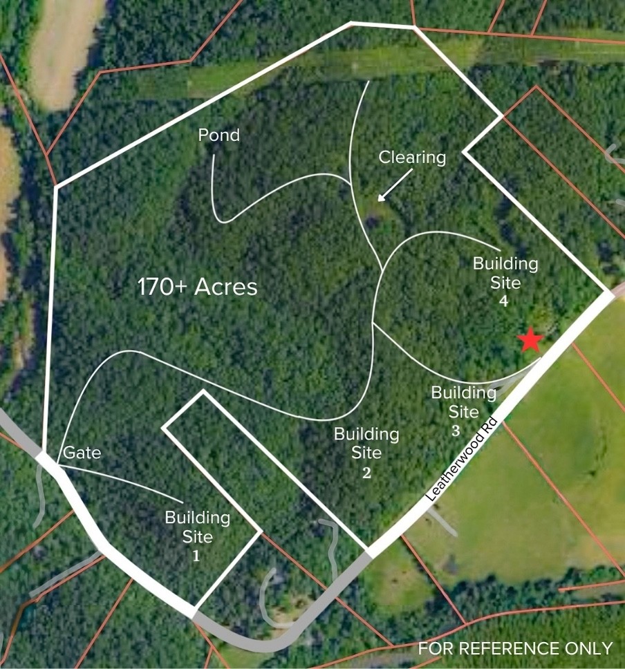 1070 Leatherwood Road White Bluff, TN 37187 - Photo 3 of 22