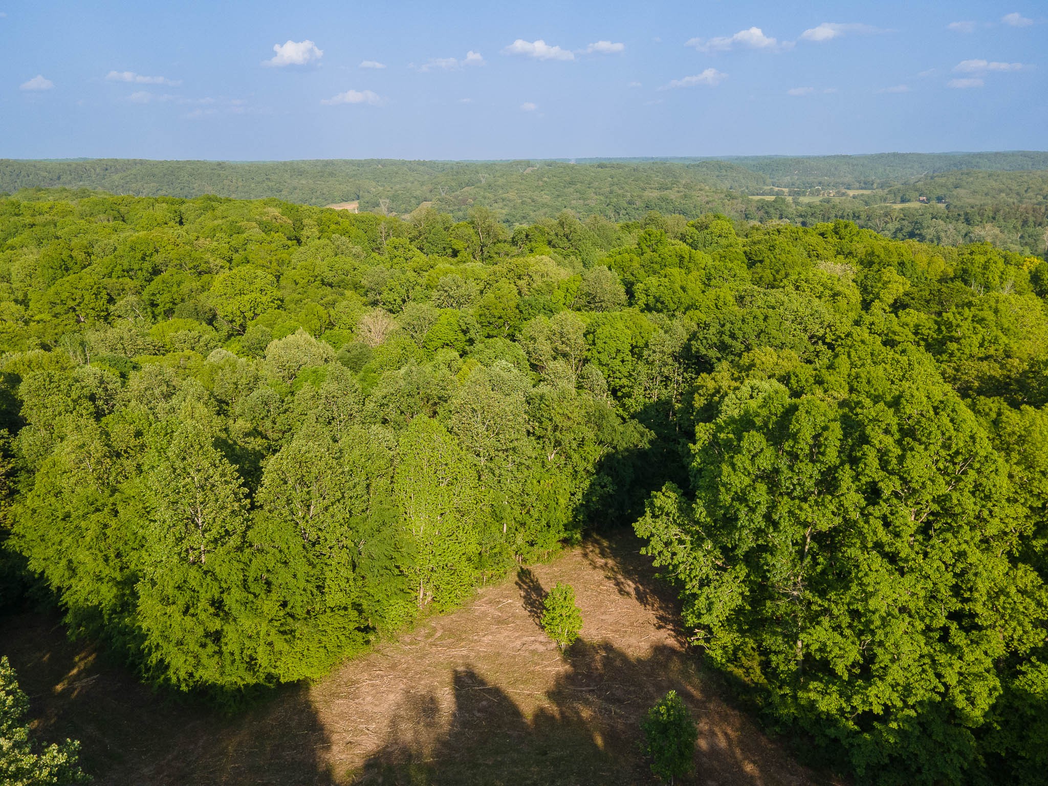 1070 Leatherwood Road White Bluff, TN 37187 - Photo 4 of 22 a view of an outdoor space with a lake view