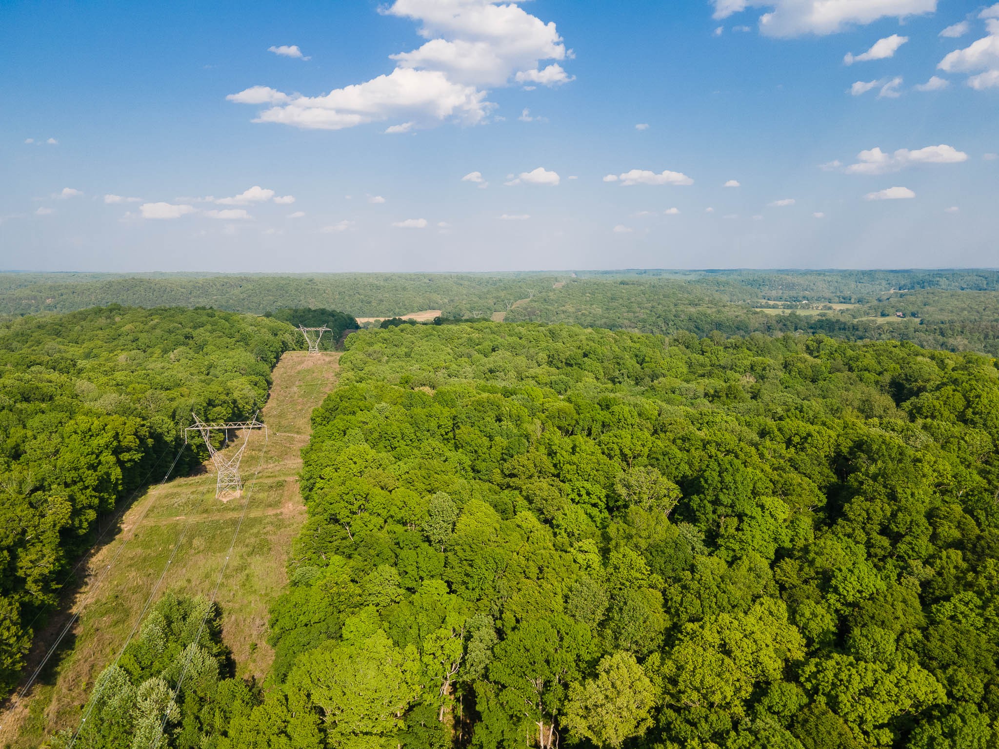 1070 Leatherwood Road White Bluff, TN 37187 - Photo 6 of 22 a view of a city